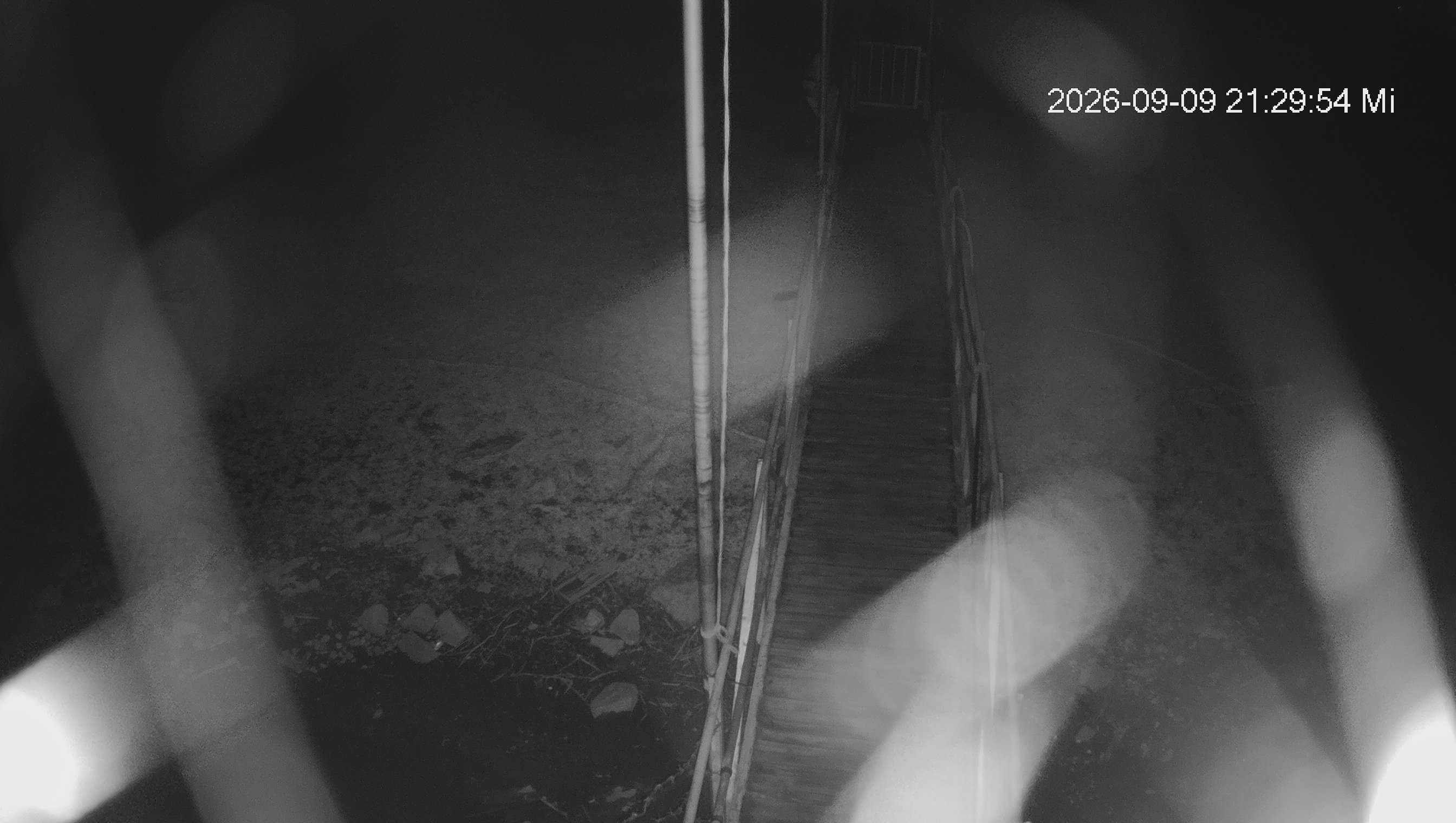 Webcam img missing